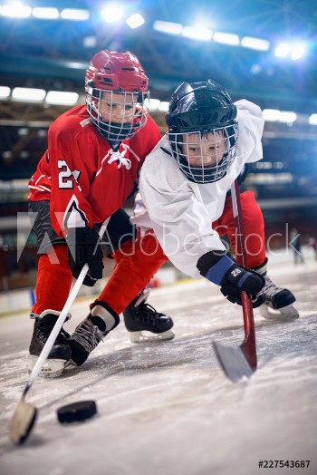 Picture of Ice hockey player in sport action on the ice